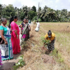 "Samrudhi Green Color Aswedduma Matrubhumi" National Plantation Day Environment Program / Homagama (Kirigampamunwa) (2022-09-28)